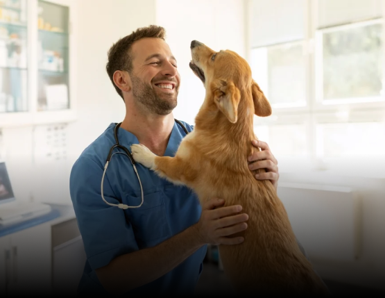 Veterinary